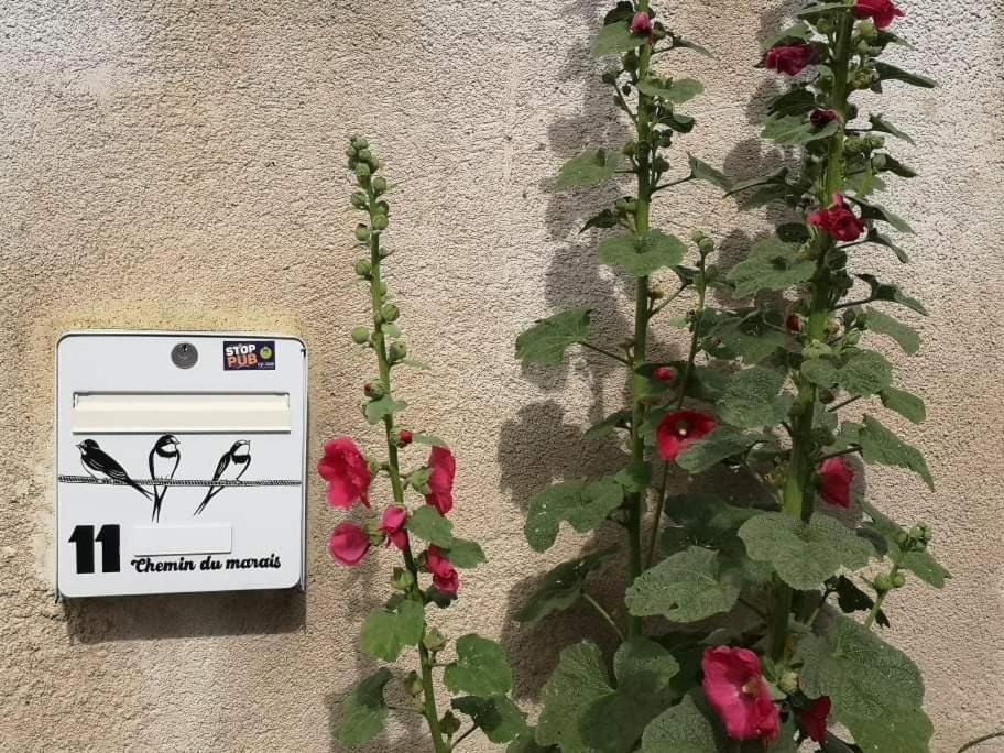 Apartament La Teranga Proche La Rochelle Nuaille-d'Aunis Zewnętrze zdjęcie
